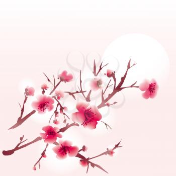 Sakura blossoms on a pink background