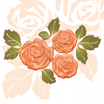 Orange Roses