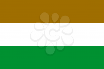 Flag of Transkei. Rectangular shape icon on white background, vector illustration.