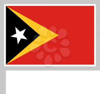 East Timor flag on flagpole, rectangular shape icon on white background, vector illustration.