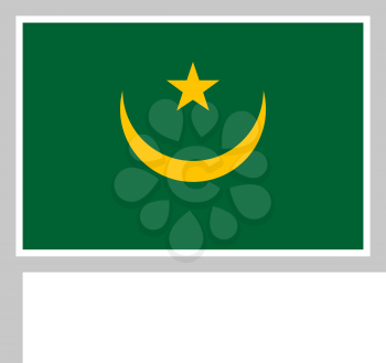 Mauritania flag on flagpole until 2017, rectangular shape icon on white background, vector illustration.
