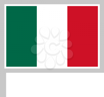 Mexico flag on flagpole, rectangular shape icon on white background, vector illustration.