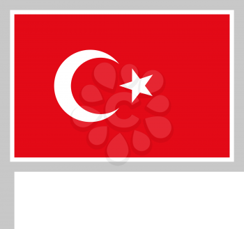 Turkey flag on flagpole, rectangular shape icon on white background, vector illustration.