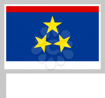 Vojvodina flag on flagpole, rectangular shape icon on white background, vector illustration.