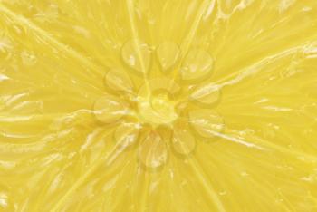 Royalty Free Photo of a Closeup of a Lemon Slice