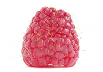Royalty Free Photo of a Raspberry
