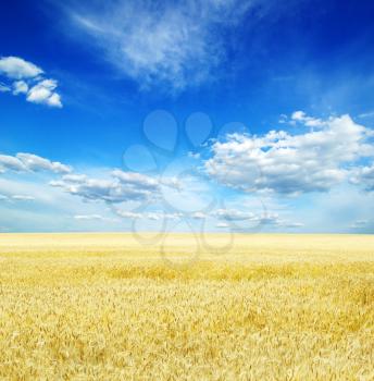 Royalty Free Photo of a Sky and Field