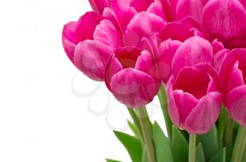 Bouquet from tulips flowers isolated on white