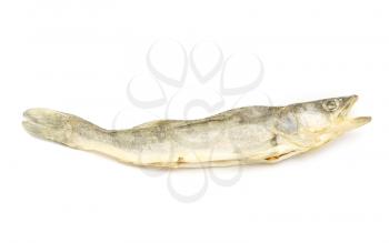 dried fish isolated on a white