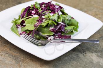 Closeup horizontal photo of fresh salad consisting of arugula, radicchio and parsley with stainless steel fork on white square plate on natural Stone Background