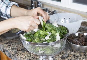 Horizontal photo of female Hands cleaning fresh Choy, with Chinese wood ears on top of kitchen counter next to stainless steel sink with plastic strainer