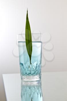 Aqua pure water, glass, bamboo leaf on glass counter
