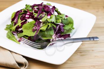 Horizontal photo of fresh salad consisting of arugula, radicchio and parsley with stainless steel fork, brown cloth napkin next to white square plate on natural bamboo wood