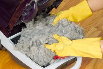 Horizontal photo completely filled dirty vacuum cleaner with hands, wearing gloves, removing the junk