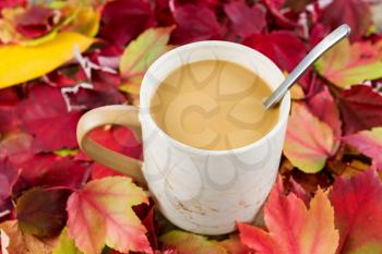 Horizontal photo of fresh coffee, cream and stainless steel spoon with seasonal autumn leaves surrounding mug 