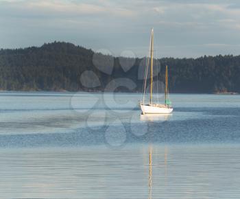 Photo of a docked sailboat within San Juan Islands during a summer evening