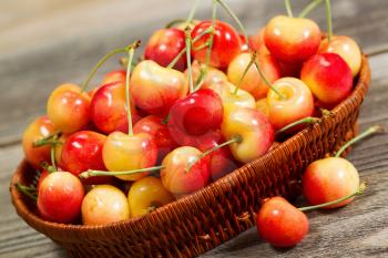 Closeup angled horizontal view of fresh Rainier cherries in basket on rustic wood