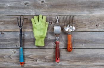 Used garden tools and gloves on Rustic Wooden boards. 