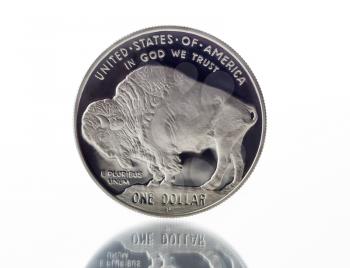 Close up of Buffalo Silver Dollar, with full rim edge, on white with reflection