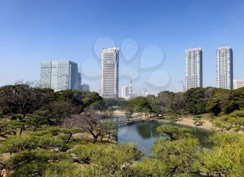 Public park with partial Tokyo skyline including tower during bright spring day with blue sky in background. 