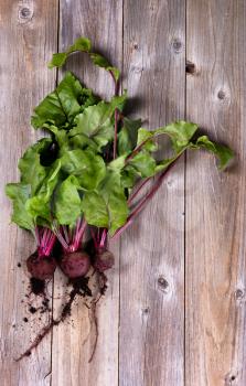Overhead view of freshly harvested beets from garden with soil still on them. Vertical format with rustic wooden boards. 
