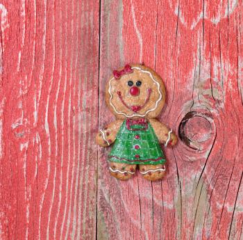 Christmas holiday gingerbread cookie on rustic red wood.    