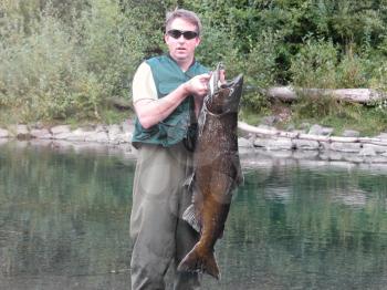 Mature man catches trophy salmon fish with river and woods in background. Light effect added. 
