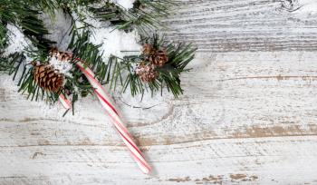 Christmas candy cane ornament hanging in rough fir tree branch on rustic white wooden background