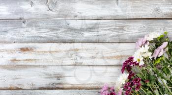 Colorful mixed flowers in bottom right corner on white weathered wooden boards 