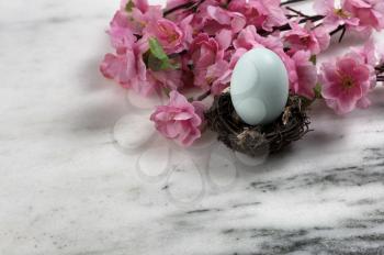 Close up view of a blue standing egg in bird nest for Happy Easter concept with vibrant springtime cherry blossoms in background  