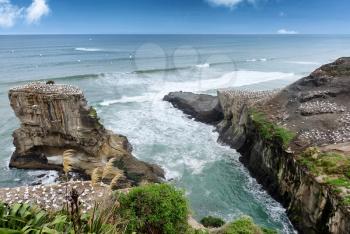Inlet within the jagged coastline of New Zealand with ocean and birds 