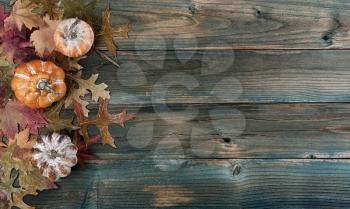 Faded autumn leaves and pumpkins on rustic blue wooden planks for a Thanksgiving holiday background 