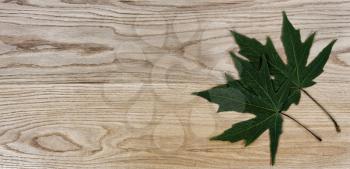 Green oak leaves on solid American red oak wood planks for industrial concept background 