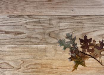 Dried oak leaves on solid American red oak wood planks for industrial concept 