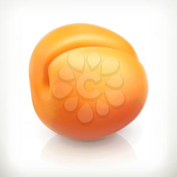 Apricot, summer fruit, vector icon
