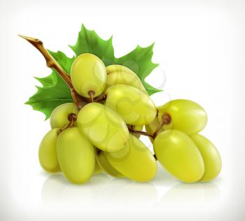Bunch of grapes, vector icon