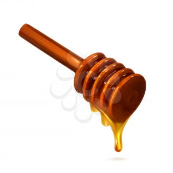 Honey dipper, photo realistic vector