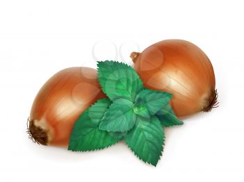 Onion and nettle, folk medicine vector illustration
