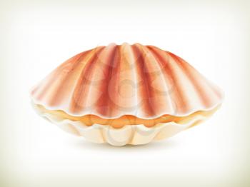 Seashell, high quality vector illustration