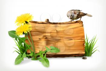 Wooden banner, dandelion and green grass, vector illustration