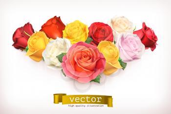Bouquet of roses, vector illustration isolated on white