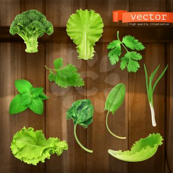 Greens, vector icon set on wooden board