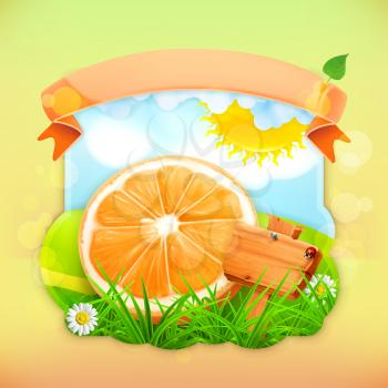 Fresh fruit label orange, vector illustration background for making design of a juice pack, jam jar etc