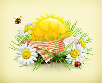 Summer, time for a picnic, nature, outdoor recreation, a tablecloth and sun behind, grass, flowers of camomile, a ladybug and a bee in the garden, vector illustration showing the summertime