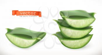 Aloe vera. Medicinal plant 3d vector icon