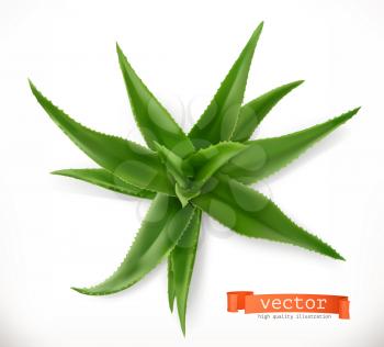 Aloe vera. Medicinal plant, 3d vector icon