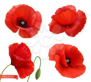 Red poppies. Papaver flowers 3d realistic vector icon set