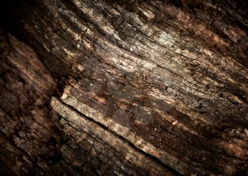 Old oak wood texture.