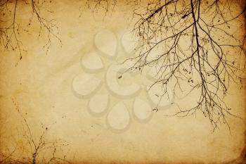 Vintage branches background