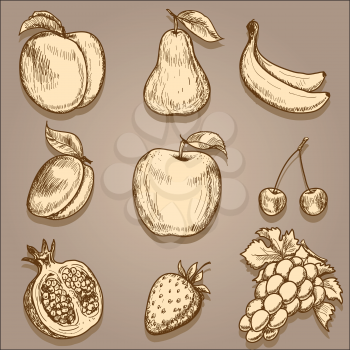 Set of fruits. Original hand drawn vector illustration in vintage style
